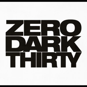 thirty zero dark write review teacher