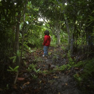 JACOB IN THE SPICE TREES, OSWAGO ISLAND, BERMUDA, 2009 Photo: Cig Harvey